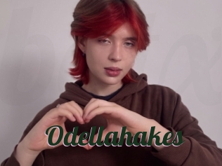 Odellahakes