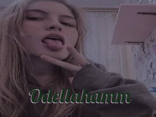 Odellahamm