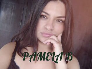 PAMELA_B