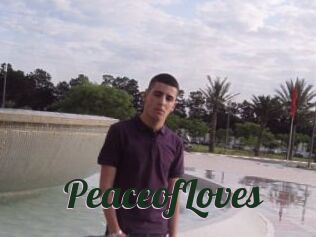 PeaceofLoves