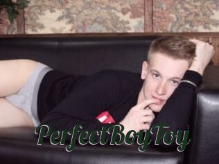 PerfectBoyToy