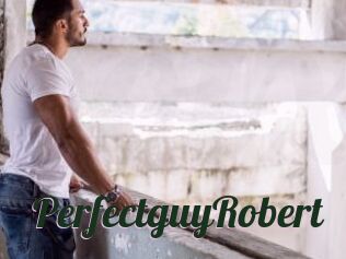 PerfectguyRobert