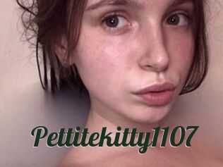 Pettitekitty1107