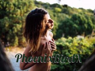 PhoenixBirdX