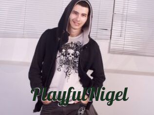 PlayfulNigel