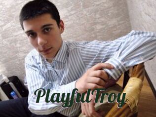 PlayfulTroy