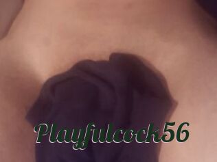 Playfulcock56