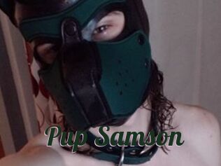 Pup_Samson