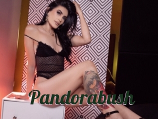 Pandorabush