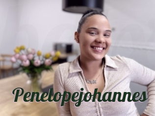 Penelopejohannes
