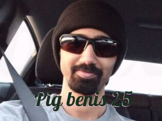 Pig_benis_25