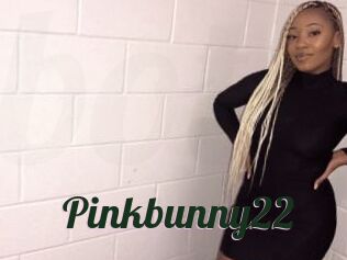 Pinkbunny22