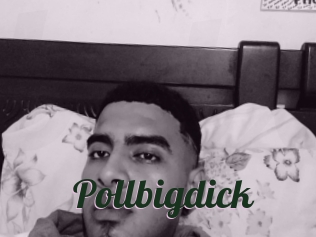 Pollbigdick