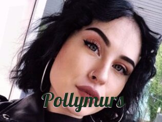 Pollymurs