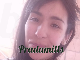 pradamills Bottin X
