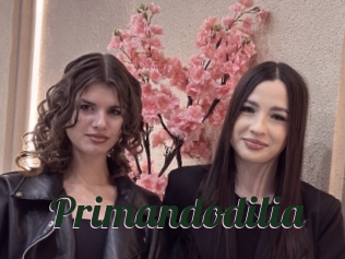 Primandodilia