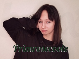 Primrosecoote