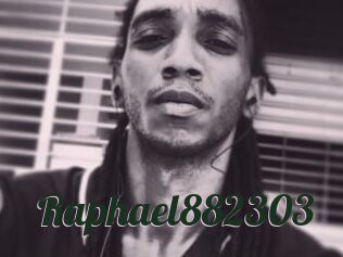 Raphael882303