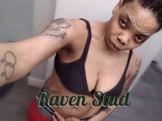 Raven_Stud