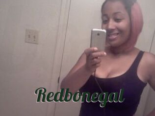 Redbonegal