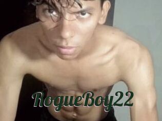 RogueBoy22