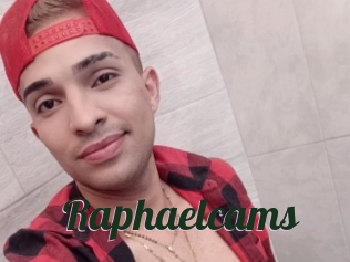 Raphaelcams