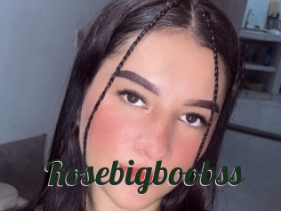 Rosebigboobss