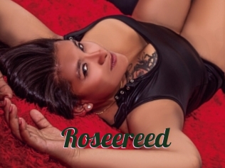 Roseereed