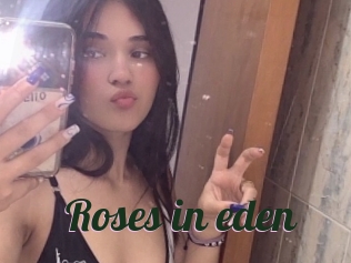 Roses_in_eden