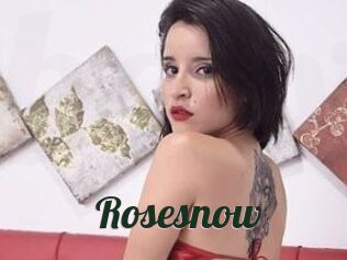 Rosesnow