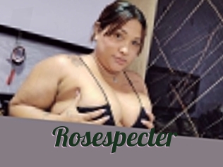rosespecter Bottin X