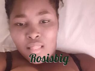 Rosisbig