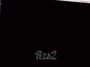 Rzs2