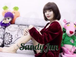 SandyJun