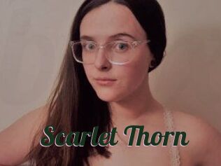 Scarlet_Thorn