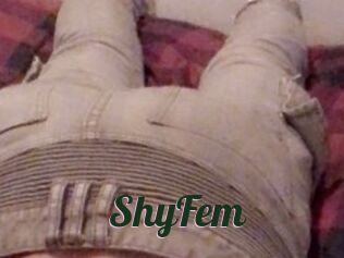 ShyFem