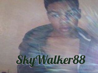 SkyWalker88