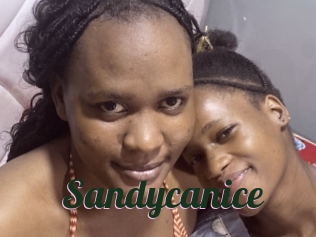 Sandycanice