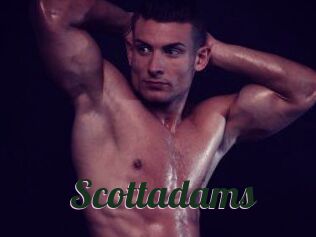 Scottadams