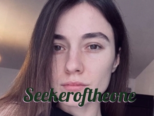 Seekeroftheone