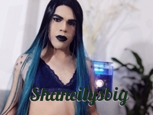 Shaneilysbig