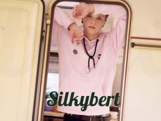 Silkybert