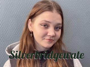 Silverbridgewate