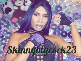 Skinnybigcock23