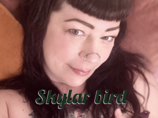 Skylar_bird