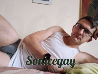 Sonicegay