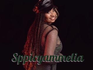 Sppicyammelia