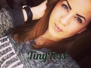 TinyTess