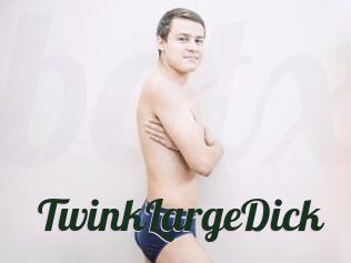 TwinkLargeDick