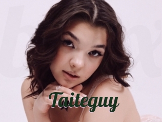 Taiteguy